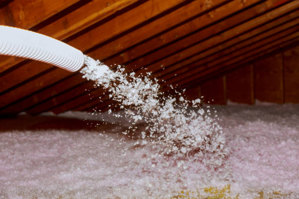 Best Types of Insulation in Cupertino, CA