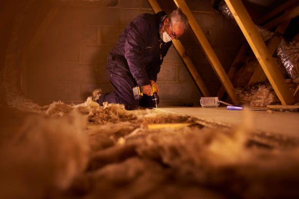 Best Insulation Installation Services in Cupertino, CA